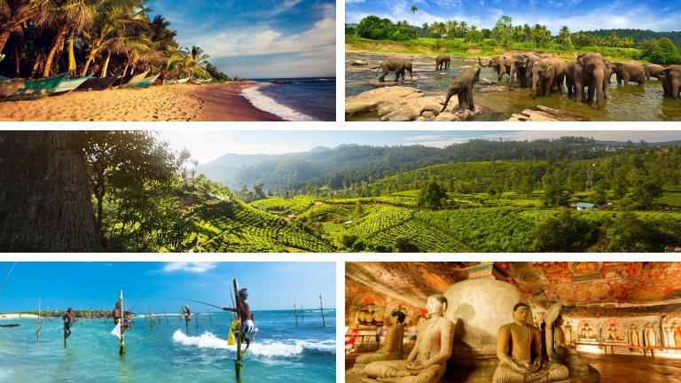 Sri Lanka - Top 5 des destinations en 2019