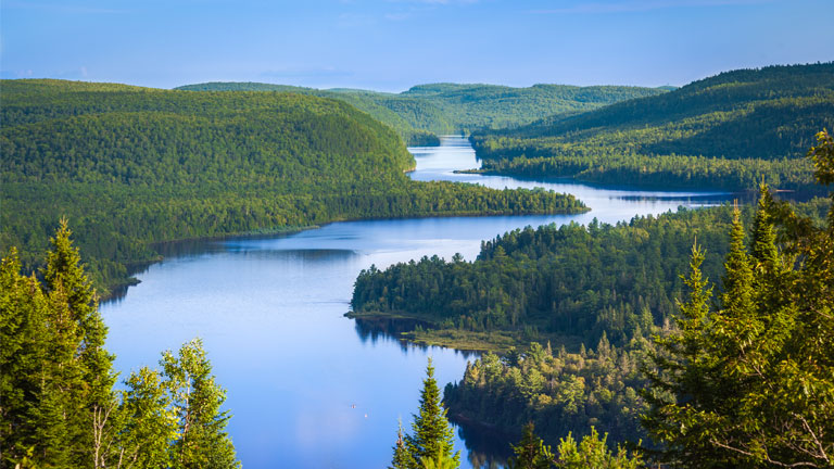 Plein feux sur le Canada!