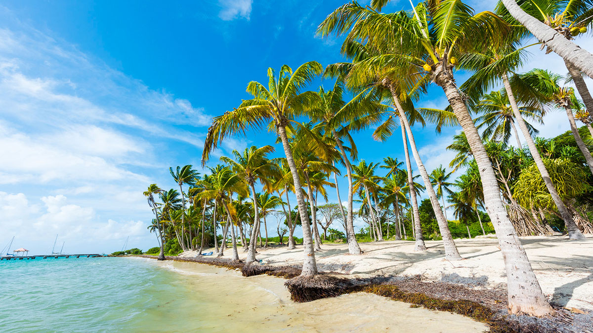 Que faire en Guadeloupe