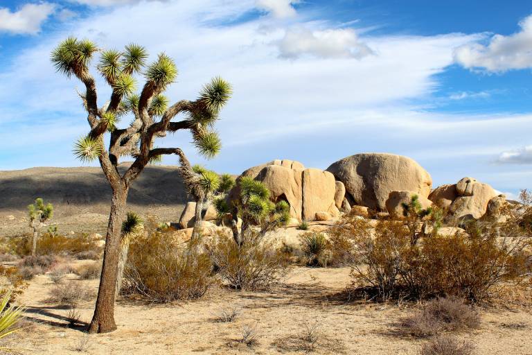 Derniers 100 sites de rencontres gratuits aux Etats-Unis