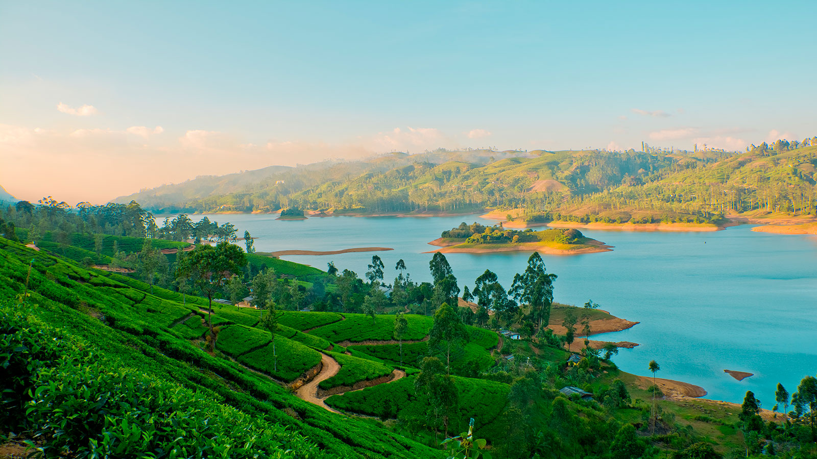 Voyage au Sri Lanka