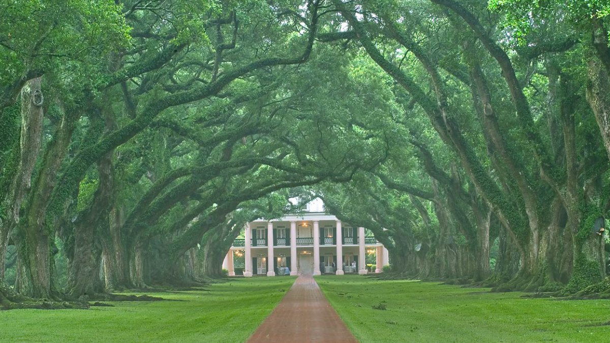 Oak Alley