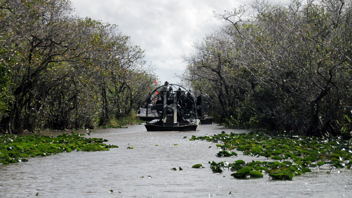 Airboat Everglades
