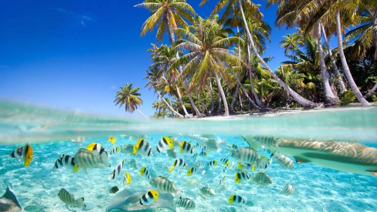 Rencontres en ligne Maldives