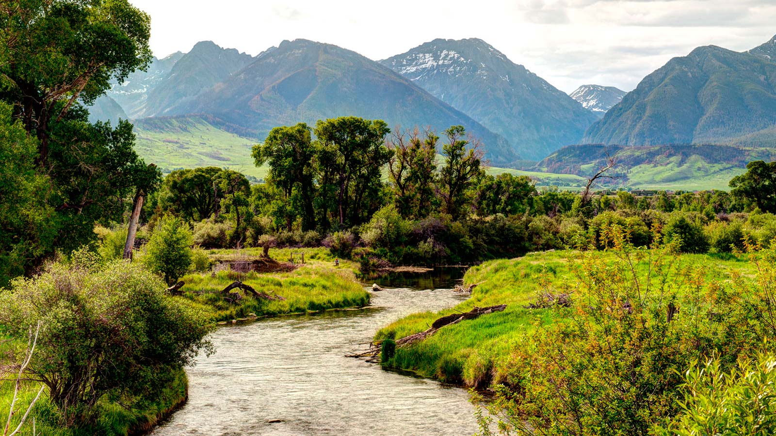 Voyage dans le Nord Ouest des Etats-Unis