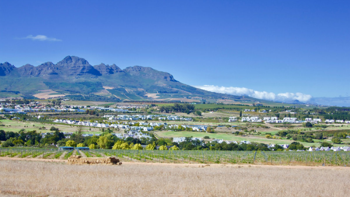 Stellenbosch
