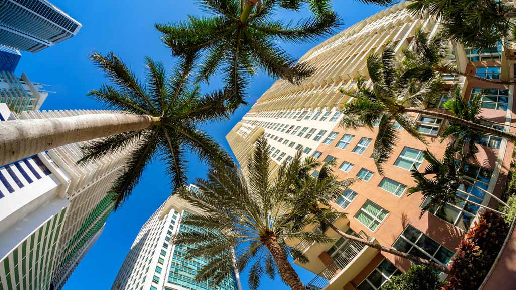 Sjour  Miami en famille