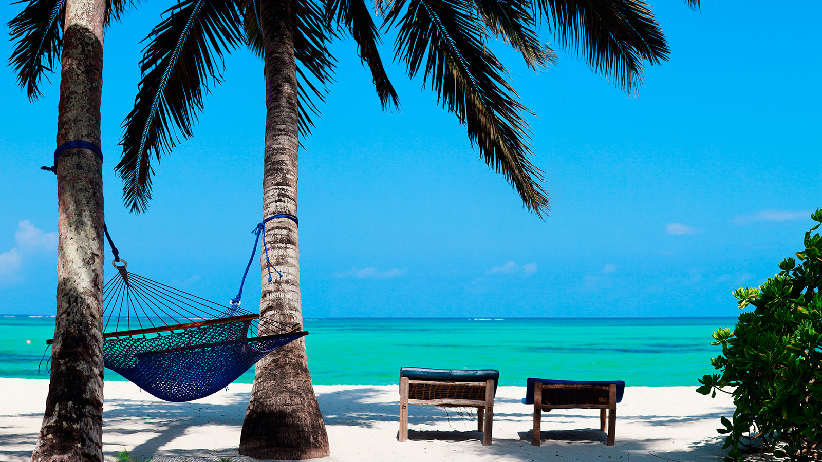 Sjour Zanzibar au soleil 