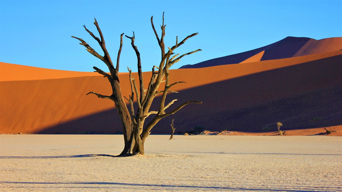 Voyage en Namibie