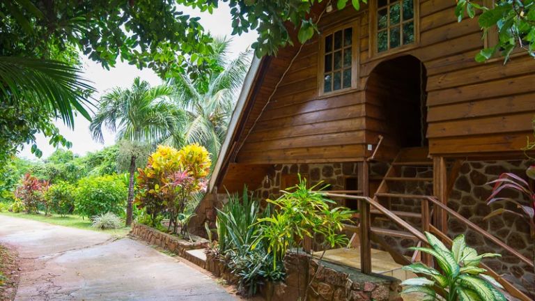 Colibri - entre ct jardin