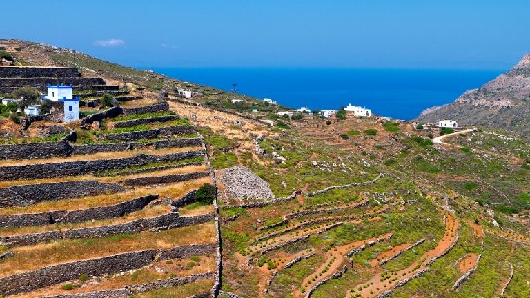 Syros, cultures en terrasse