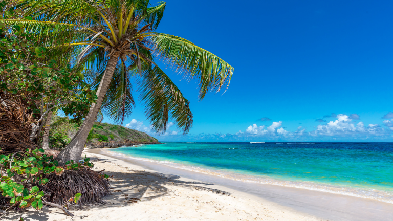 Sjour en Guadeloupe