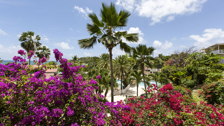 Pinneaple Beach Resort, jardin