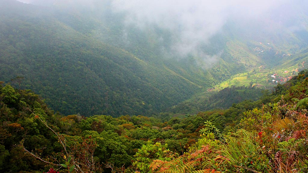 Jour 9 : Nuwara Eliya / Ella / Yala