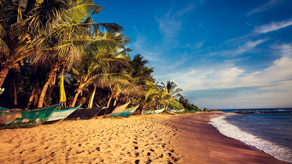 Jour 11 et 12 : Mirissa