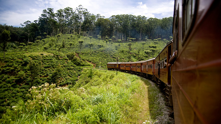 Jour 8 : Kandy / Nuwara Eliya