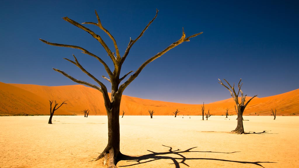 Jour 11 : Sesriem / Sossusvlei