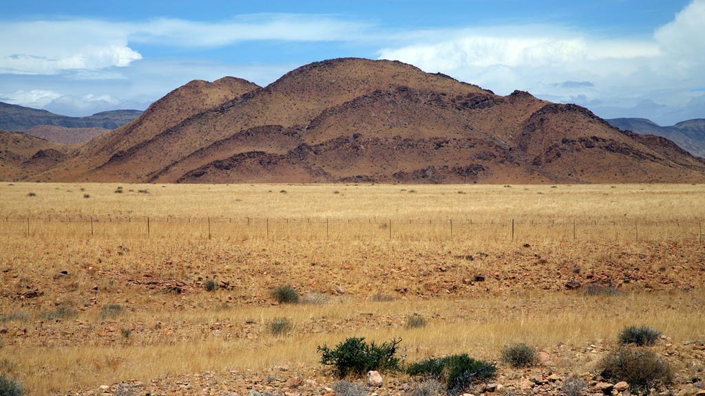 Jour 8 : Twyfelfontein / Swakopmund