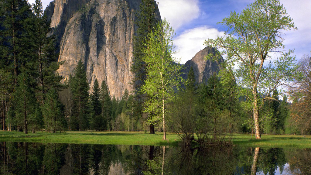 Yosemite National Park