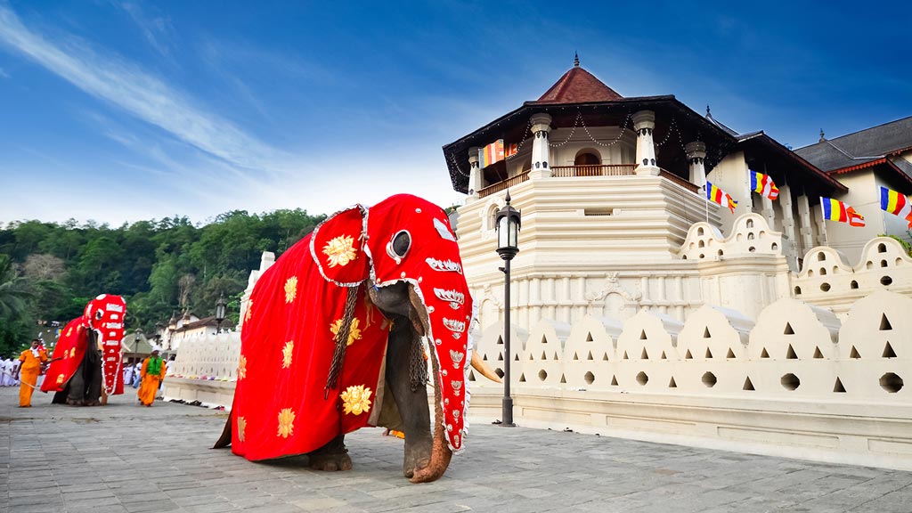 Jour 6 : Kandy / Peradeniya / Kandy