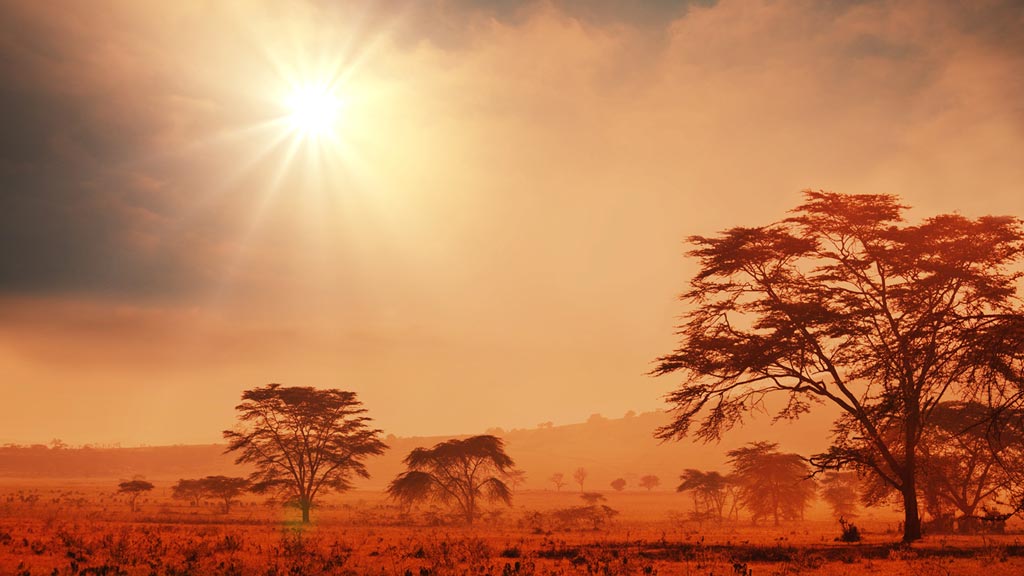 Jour 10 : Sesfontein / Grootberg / Parc National d'Etosha