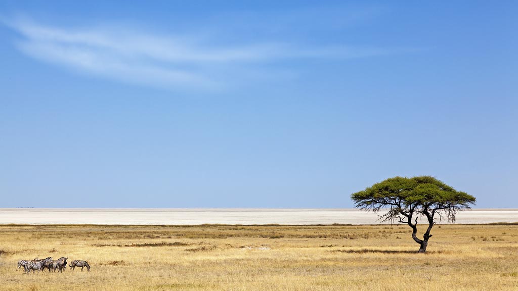 Parc d'Etosha