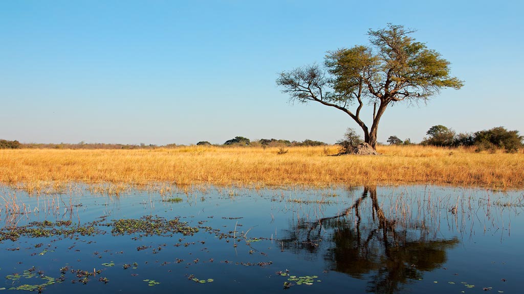 Jour 12 : Divundu / Kongola ou Katima