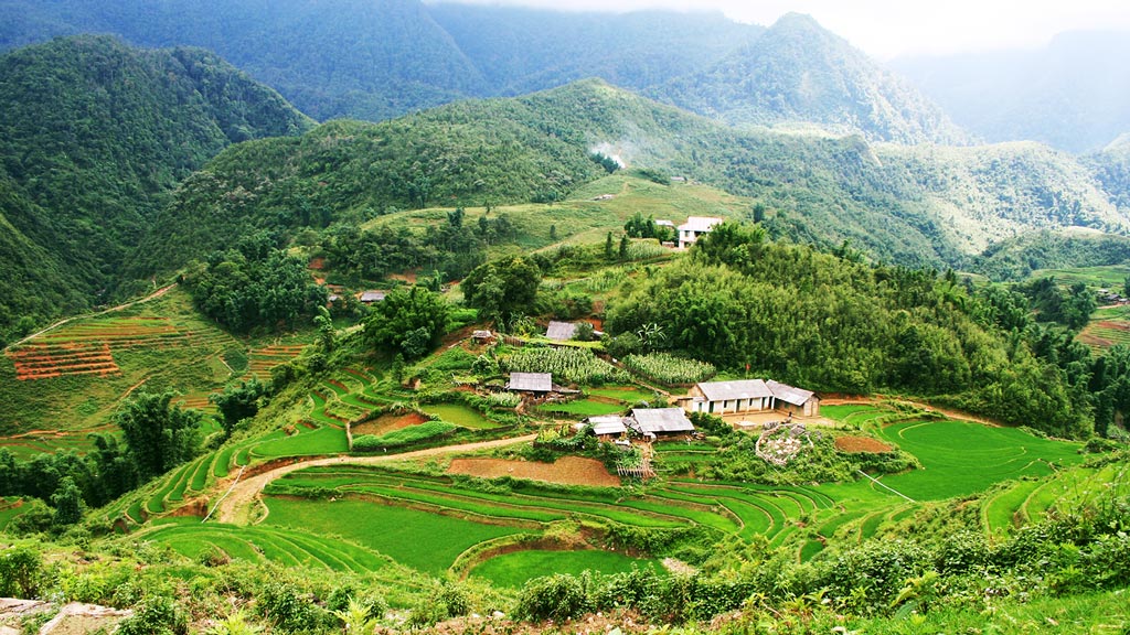 Jour 8 : Hano / Hoa Lu / Hano / Lao Cai