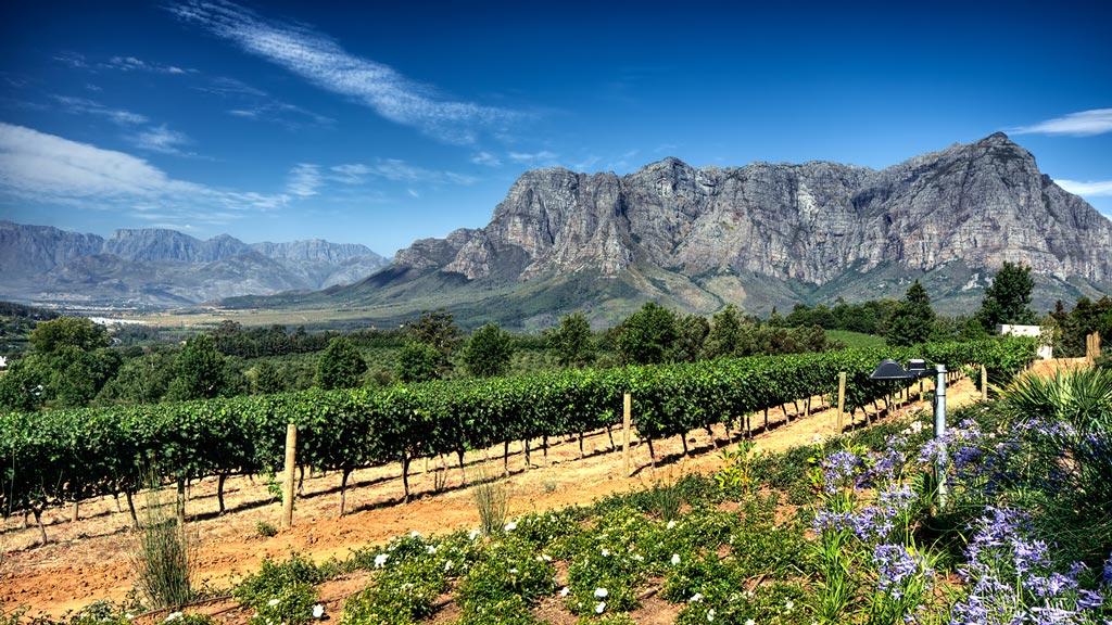 Stellenbosch