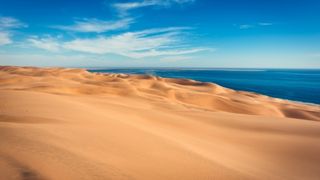 Jour 7 : Wyfelfontein / Etosha 