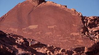 Jour 5 : Swakopmund / Twyfelfontein