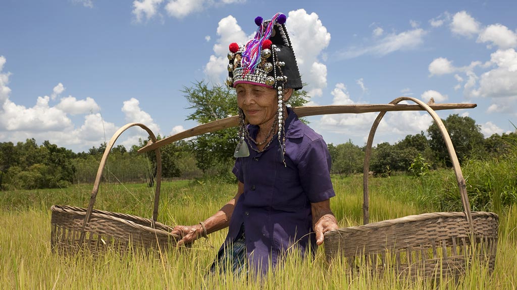 Jour 8 : Oudmxay / Pakbeng / Kamu Lodge