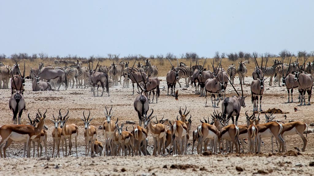 Jour 3 : Waterberg / Etosha