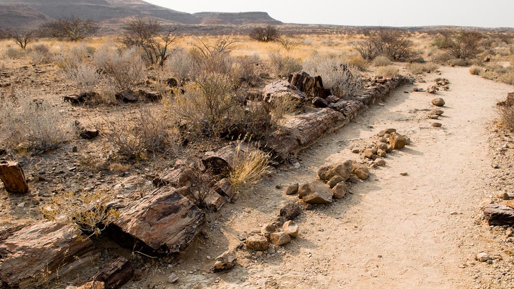 Jour 5 : Etosha / Twyfelfontein