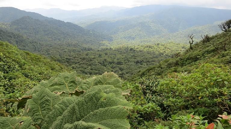 Costa Rica, Monteverde