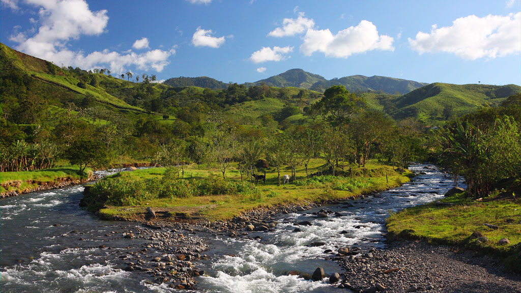 Jour 7 : Arenal/ Monteverde