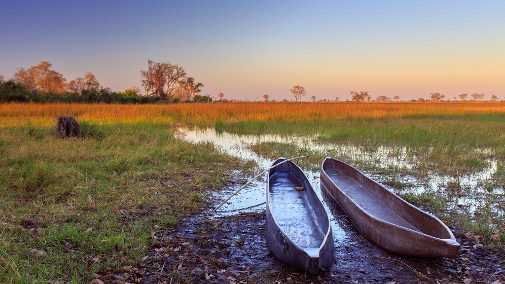 Delta de l'Okavango