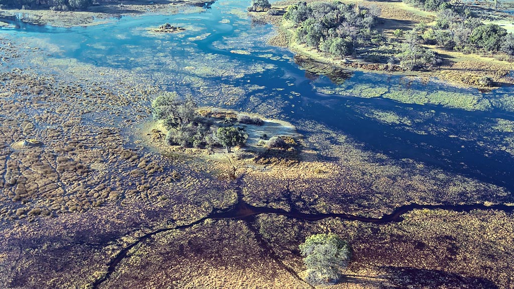 Jour 5 : Delta de l'Okavango