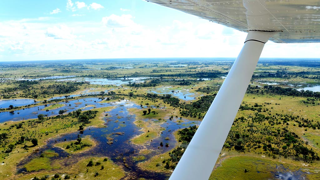 Delta de l'Okavango