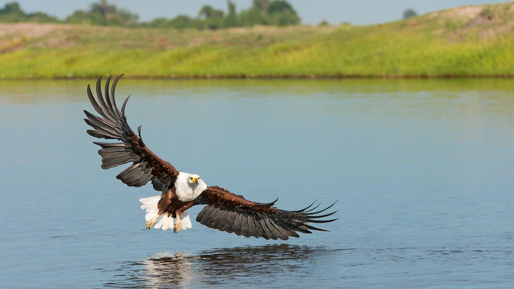 Parc national de Chobe