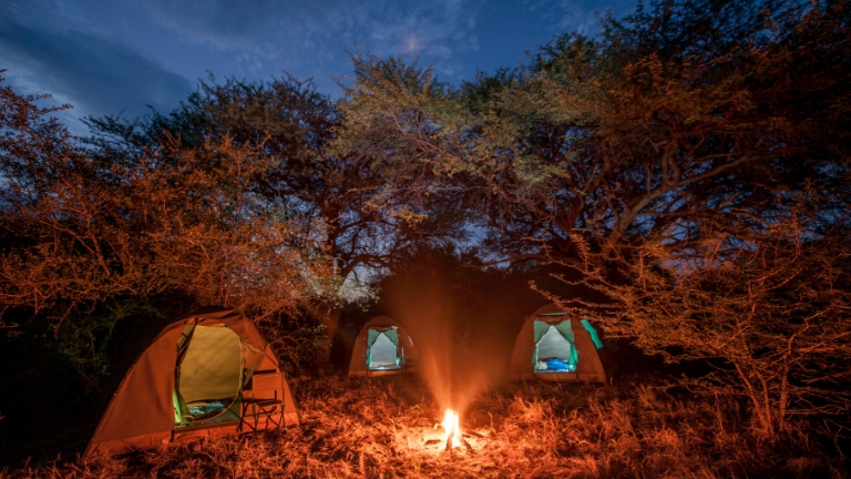 Camp dans la brousse - Safari Botswana