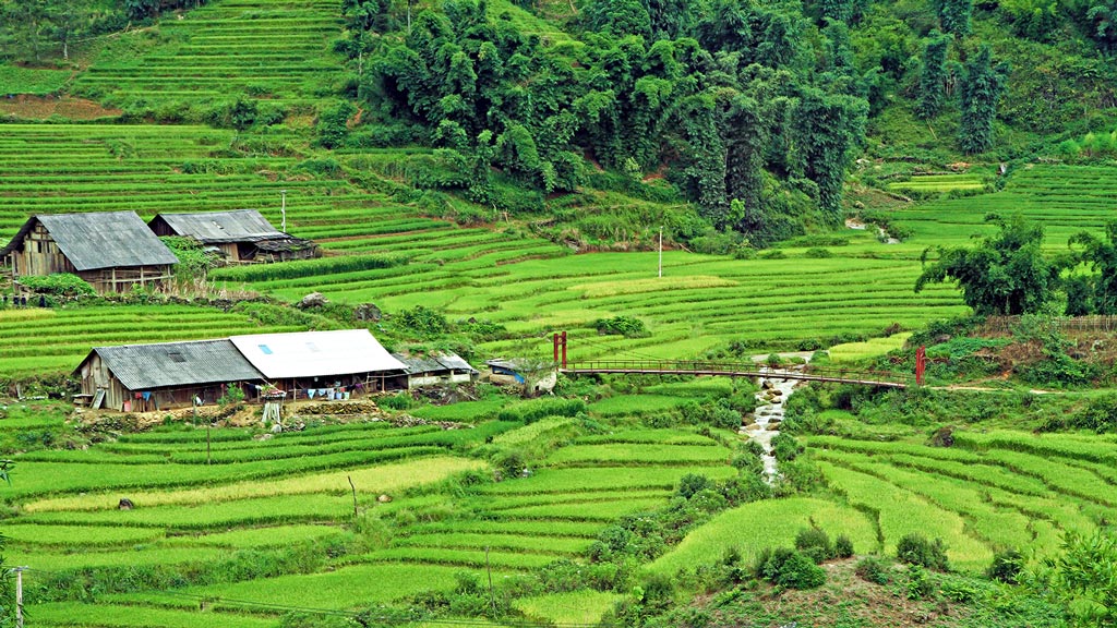 Jour 5 : Sapa / Ban Ho / Thanh Phu / Sin Chai