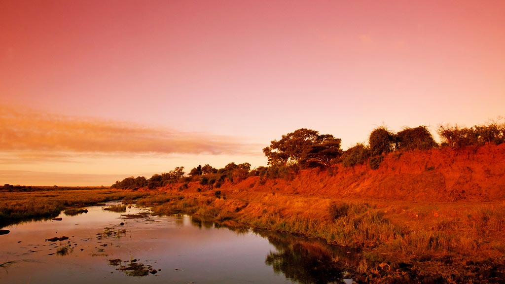 Jour 4 : Graskop (ou Blyde River) / Parc Kruger (ou Rserve prive de Makalali)