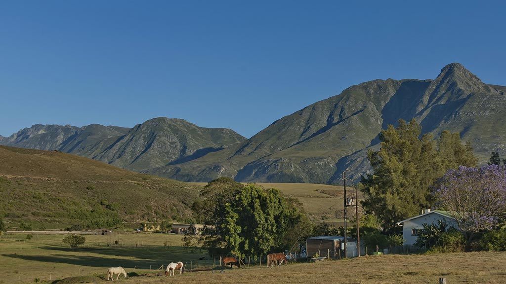 Jour 11 : Knysna / Swellendam