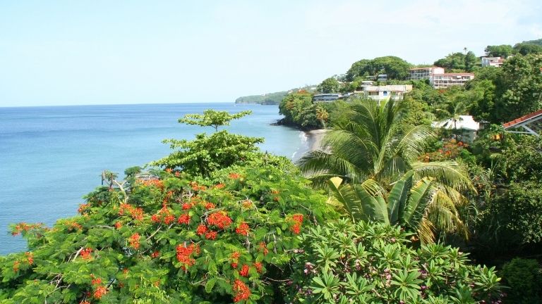 Jours 5  8 : Le prcheur, visite du Nord de l'le