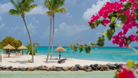 voyage sous le soleil de martinique