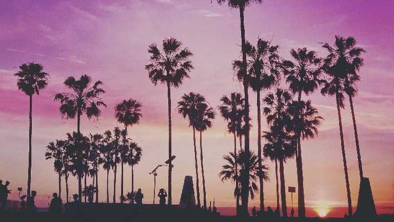 Venice beach, coucher de soleil - Sensations du monde
