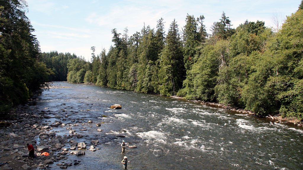 Jour 12 : Port Hardy / Campbell River - 233 Km - 2h30 de route