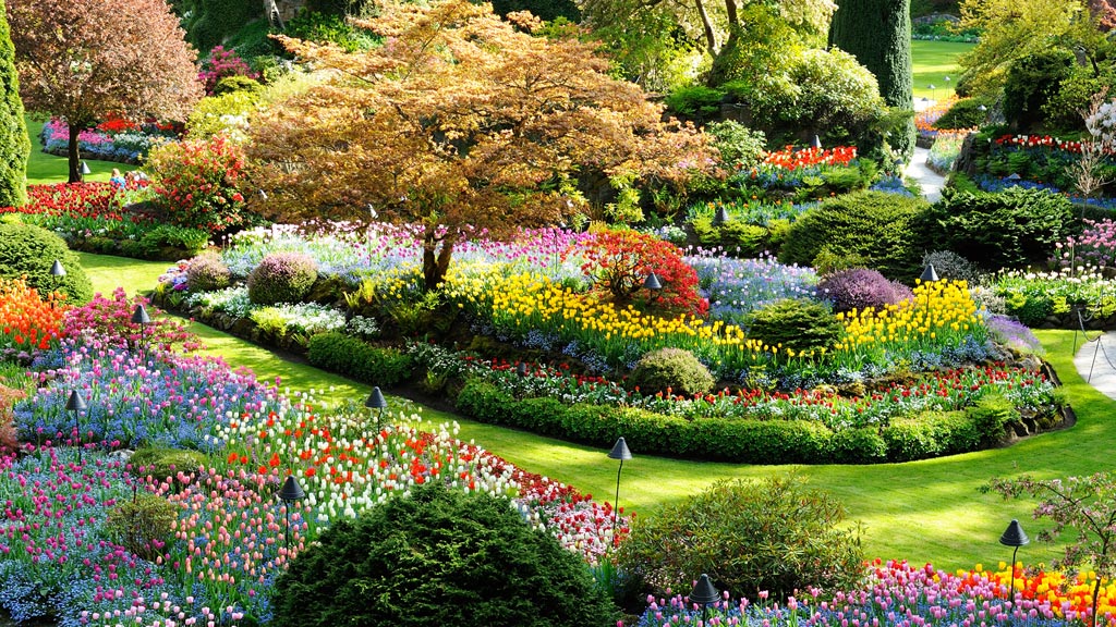 Jardins Butchart