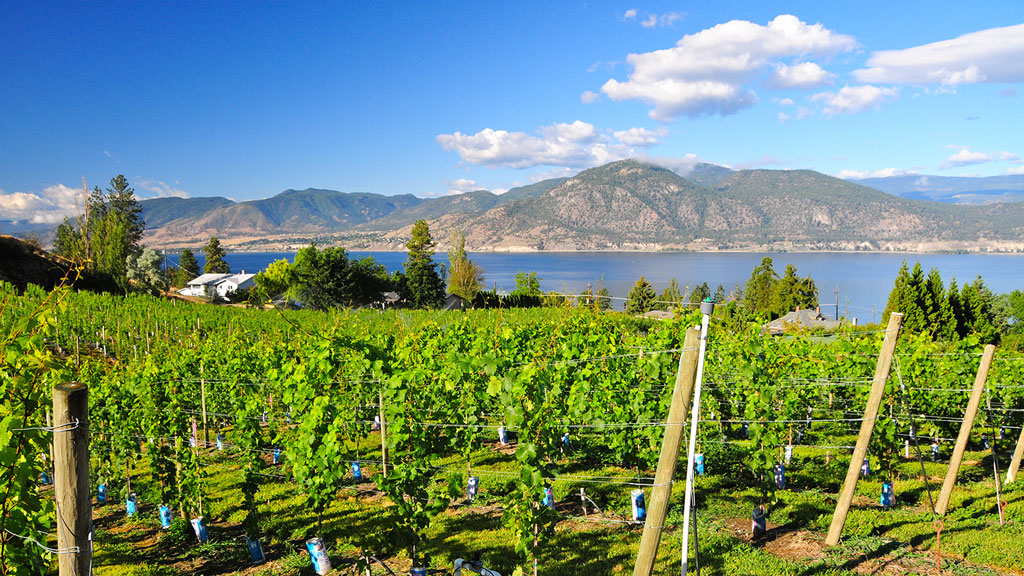 Valle de l'Okanagan